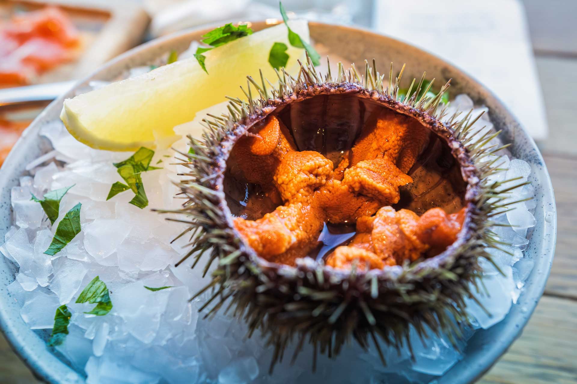 Read more about the article Culinary Adventures in Tromsø
